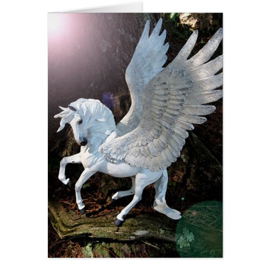 Pegasus Cards (Front)
