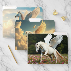 Pegasus File Folder