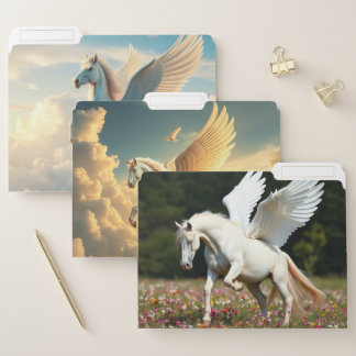 Pegasus File Folder