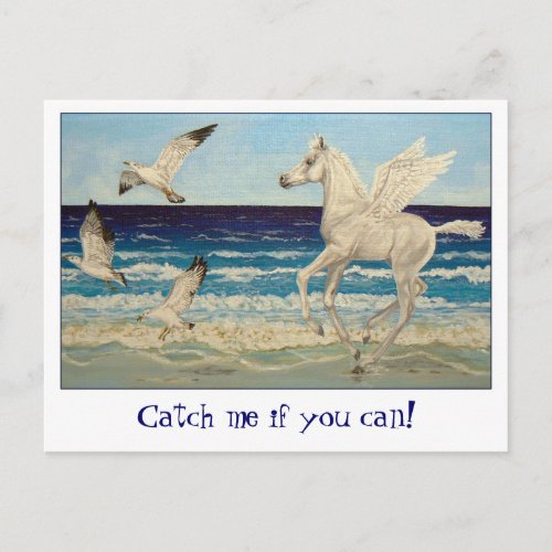 Pegasus Horse  Sea Gulls Fantasy postcard
