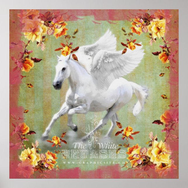 Pegasus II - Poster (Front)