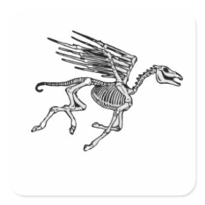 Pegasus Skeleton on Women's Plus Square Sticker