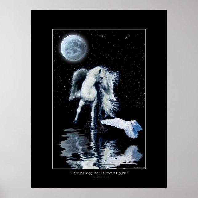 PEGASUS & WHITE RAVEN Collection Poster (Front)