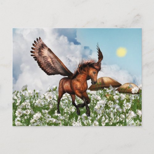 Pegasys in a Field Postcard