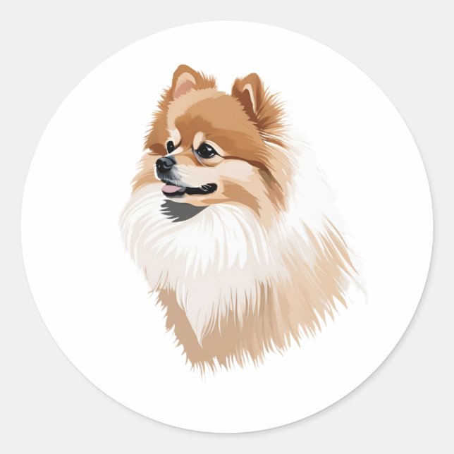 Pegatin dog Pomeranian Classic Round Sticker (Front)
