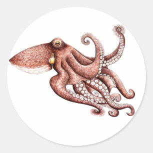 Pegatina Octopus vulgaris Classic Round Sticker