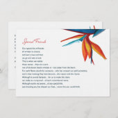 Peggy - Letter 4.5 x 6.25 Linen (Front/Back)