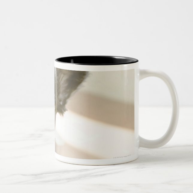 Peki-French Two-Tone Coffee Mug (Right)