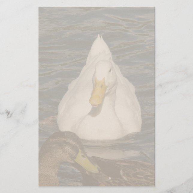 Pekin Duck Birds Stationery (Front)