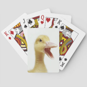 Pekin duck chick, head-shot poker cards