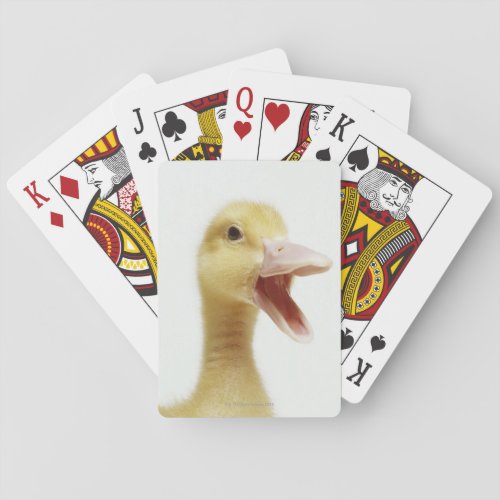 Pekin duck chick head_shot poker cards