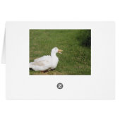 Pekin duck with open bill on green grass cards (Back Horizontal)