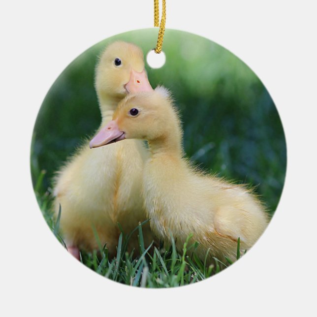 Pekin Ducklings Ceramic Ornament (Front)