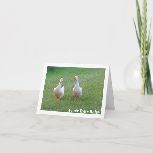 Pekin Ducks in Green Grass Personalized Note Card