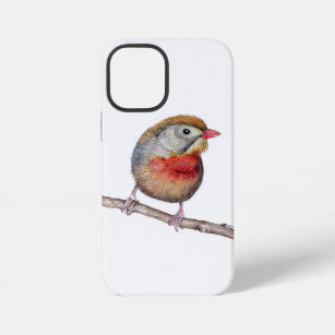  Pekin Robin Bird (Leiothrix lutea) iPhone 12 Mini Case