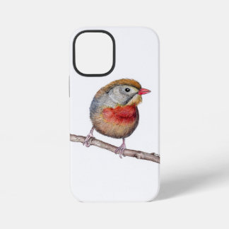 Pekin Robin Bird (Leiothrix lutea) iPhone 12 Mini Case