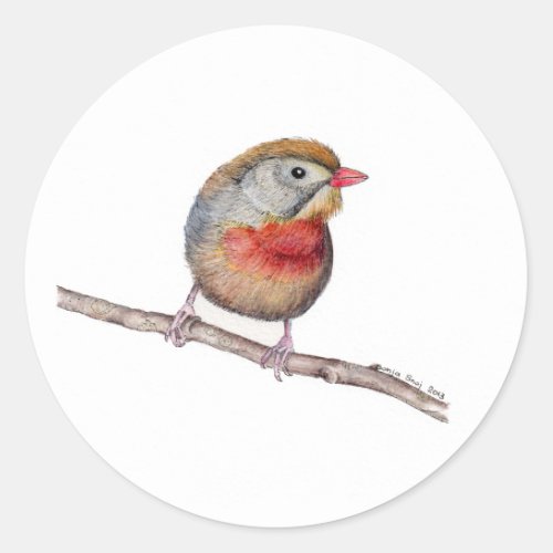 Pekin Robin Bird Leiothrix lutea Sticker