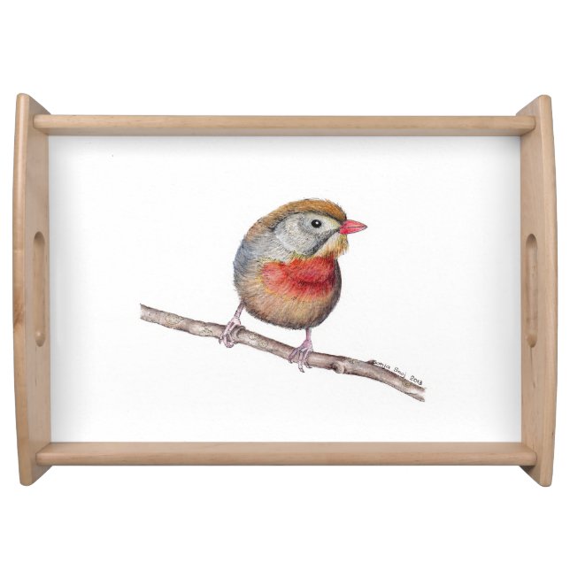 Pekin Robin Bird (Leiothrix lutea) Tray (Front)