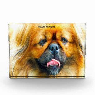 Pekinese Dog. Acrylic Award
