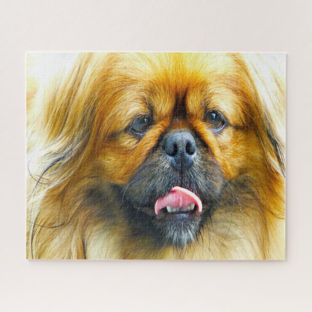 Pekinese Dog. Jigsaw Puzzle (Horizontal)