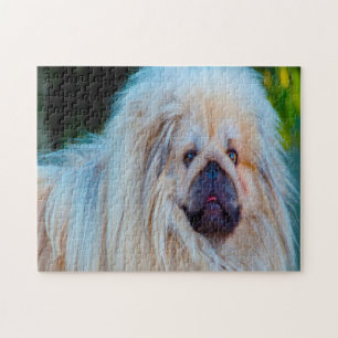 Pekinese Dog. Jigsaw Puzzle
