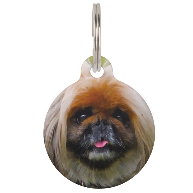 Pekinese Dog. Pet ID Tag (Front)