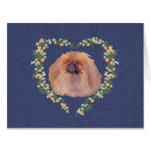Pekingese (Front Horizontal)