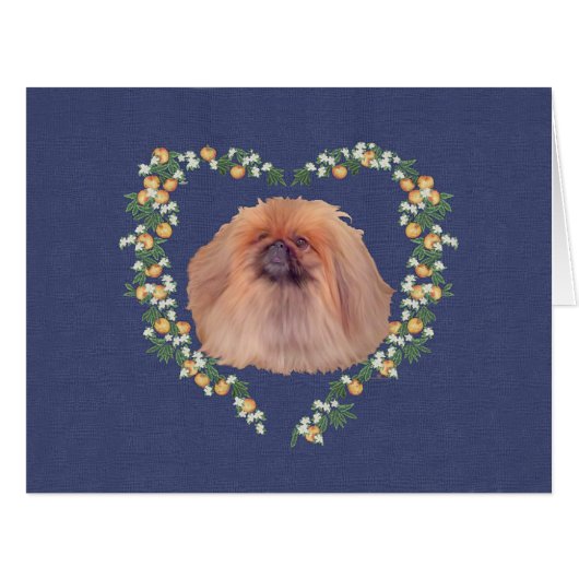 Pekingese (Front Horizontal)
