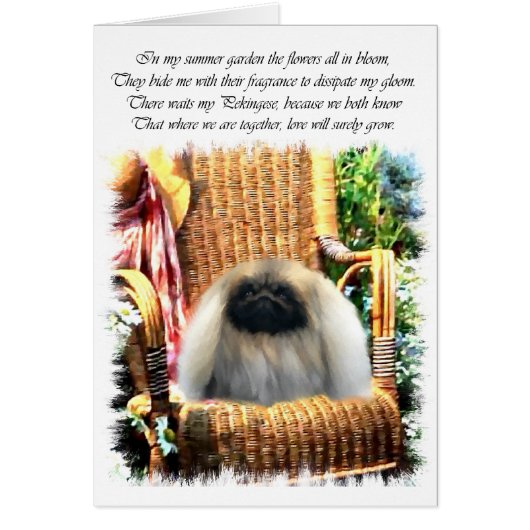 Pekingese Art Gifts Cards (Front)