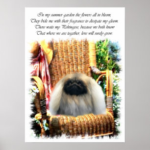 Pekingese Art Print