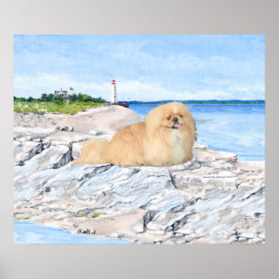 Pekingese at the Lighthouse Poster