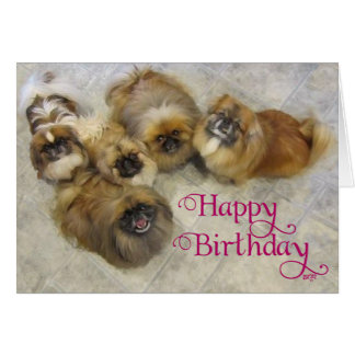 Pekingese Birthday Cards | Zazzle