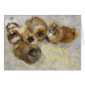 Pekingese Birthday Greeting Card (Front Horizontal)