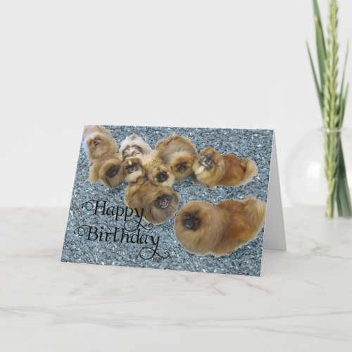 Pekingese Birthday Greeting Card