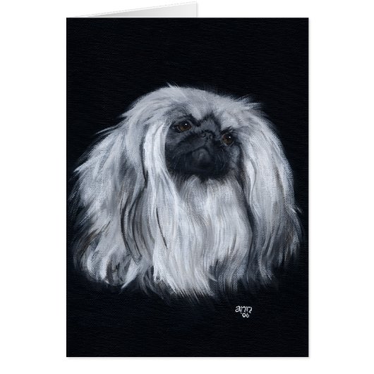 Pekingese Black & White Cards (Front)