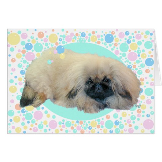 Pekingese Bubble Happiness Cards (Front Horizontal)