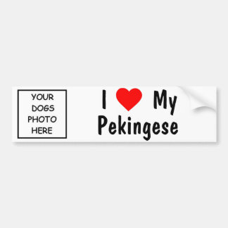 Pekingese Bumper Sticker