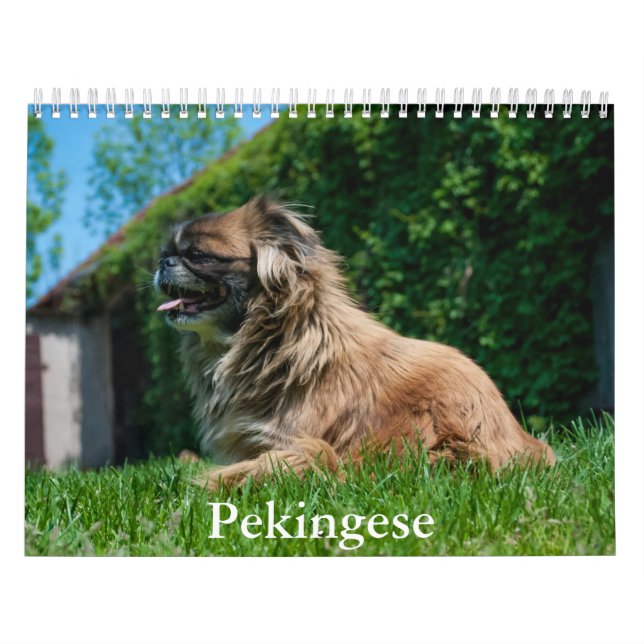 Pekingese Calendar (Cover)
