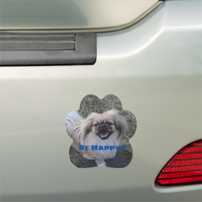 Pekingese Car Magnet (In Situ)