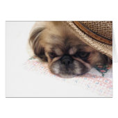 Pekingese Card (Front Horizontal)