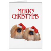 Pekingese Christmas (Front)