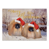 Pekingese Christmas (Front Horizontal)