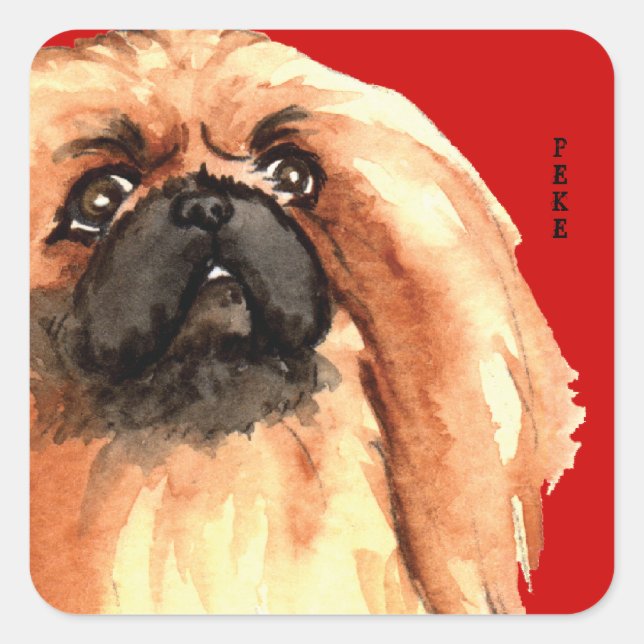 Pekingese Color Block Square Sticker (Front)