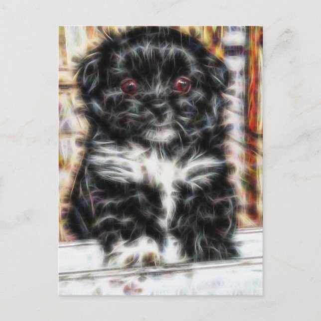 Pekingese cute Puppy dog Postcard (Front)
