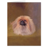 Pekingese Dog (Front)