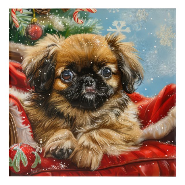 Pekingese Dog Christmas Festive Acrylic Print (Front)