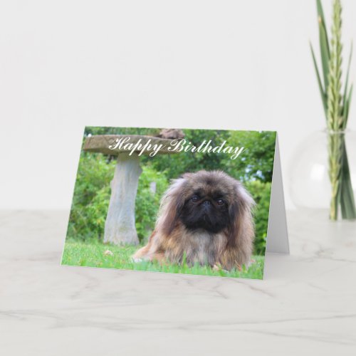 Pekingese dog custom card