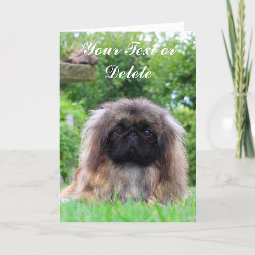 Pekingese dog custom greeting card