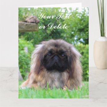 Pekingese Dog Custom Greeting Card by roughcollie at Zazzle