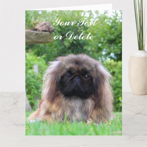 Pekingese dog custom greeting card